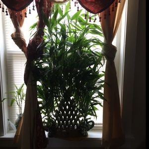 Meet your Posher, Merari